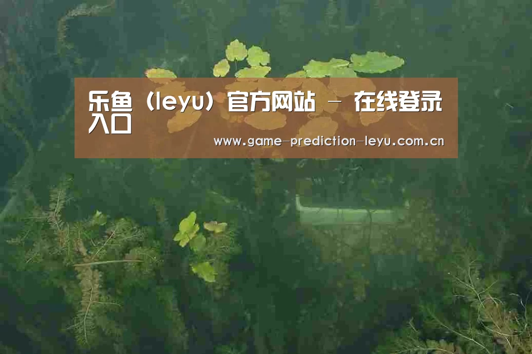 案例展示三