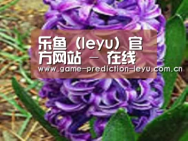 产品名称八