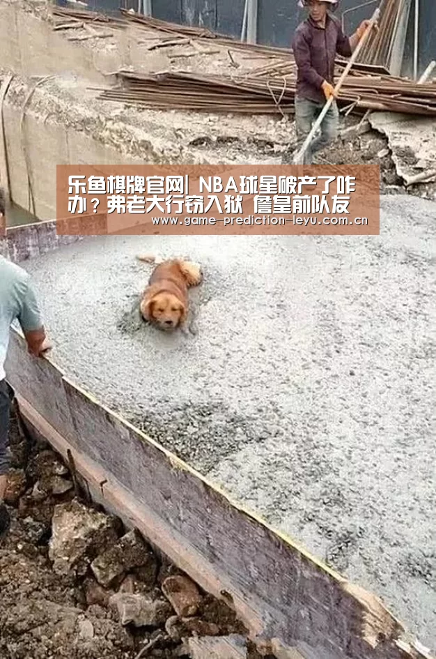乐鱼棋牌官网